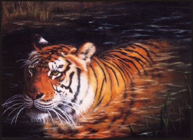 Tiger
Painting