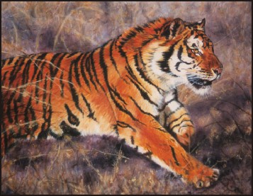 Tiger Painting