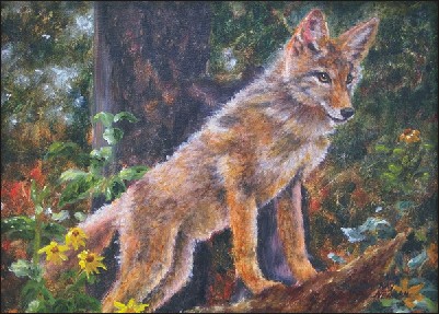 Coyote
Pup Painting